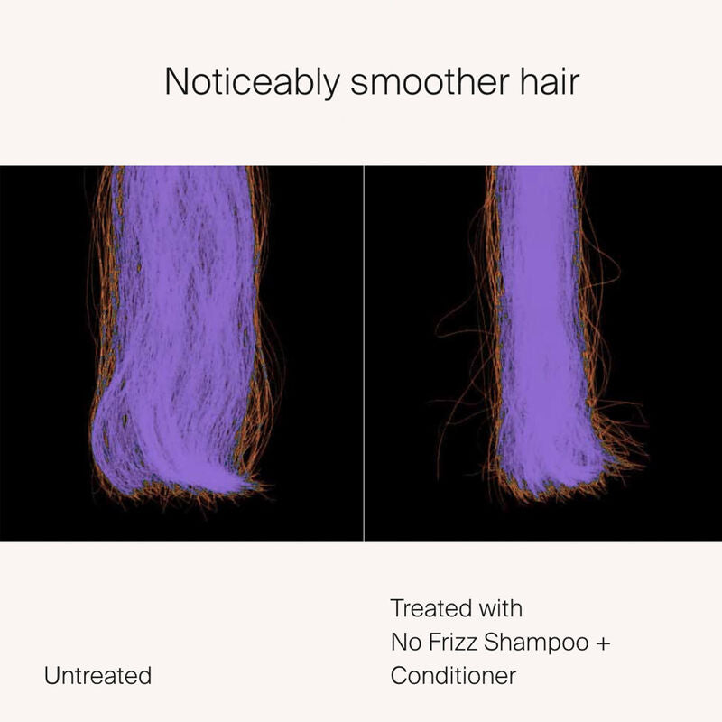 Living Proof No Frizz Conditioner