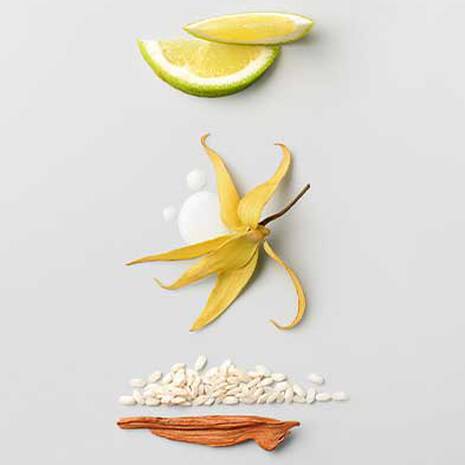 shu uemura izumi tonic hair treatment